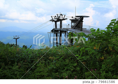白馬五竜 高山植物園 長野県 白馬五竜 高山植物園 長野県 79661586