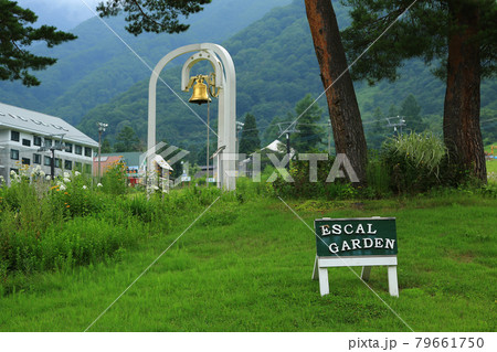 白馬五竜 高山植物園 長野県 白馬五竜 高山植物園 長野県 79661750