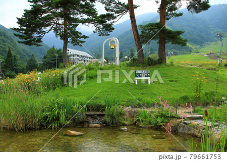 白馬五竜　高山植物園　長野県 79661753