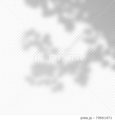Realistic Vector transparent overlay blured shadow of branch leaves. 79661971