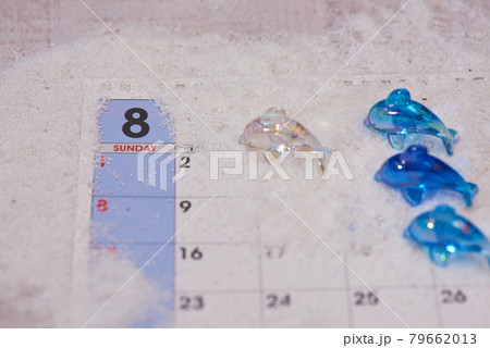 イルカ　8月のイメージ 79662013