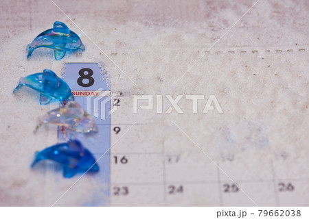 イルカ　8月のイメージ 79662038