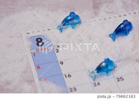 イルカ 8月のイメージ イルカ 8月のイメージ 79662163