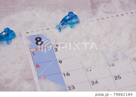 イルカ　8月のイメージ 79662184