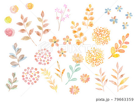 水彩ベクター 秋の植物のイラストセット 79663359