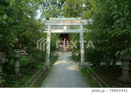 京都、北野天満宮の末社の一之保神社、奇御魂神社の鳥居と参道の風景 79663442