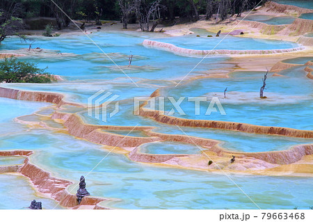 中国四川省アバ・チベット族チャン族自治州松潘県　世界自然遺産黄龍風景区の五彩池の鮮やかな青い水 79663468