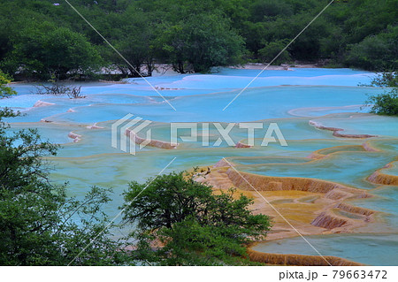 中国四川省アバ・チベット族チャン族自治州松潘県　世界自然遺産黄龍風景区の五彩池の鮮やかな青い水 79663472