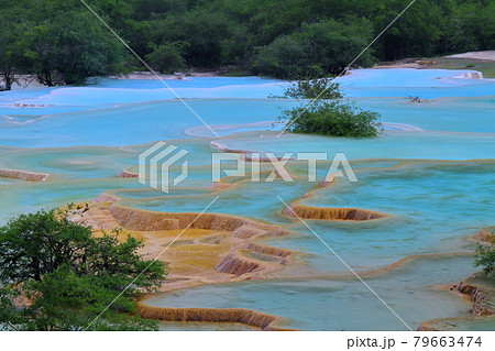 中国四川省アバ・チベット族チャン族自治州松潘県　世界自然遺産黄龍風景区の五彩池の鮮やかな青い水 79663474