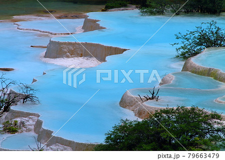 中国四川省アバ・チベット族チャン族自治州松潘県　世界自然遺産黄龍風景区の五彩池の鮮やかな青い水 79663479