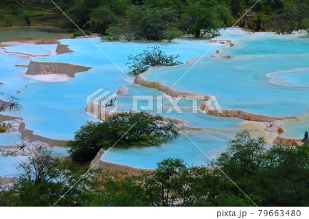 中国四川省アバ・チベット族チャン族自治州松潘県 世界自然遺産黄龍風景区の五彩池の鮮やかな青い水 中国四川省アバ・チベット族チャン族自治州松潘県 世界自然遺産黄龍風景区の五彩池の鮮やかな青い水 79663480