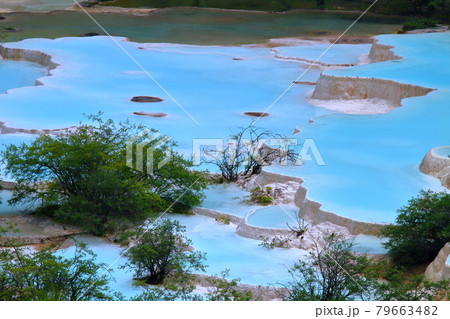 中国四川省アバ・チベット族チャン族自治州松潘県　世界自然遺産黄龍風景区の五彩池の鮮やかな青い水 79663482