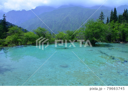 中国四川省アバ・チベット族チャン族自治州松潘県 世界自然遺産黄龍風景区石灰棚の鮮やかな青い水 中国四川省アバ・チベット族チャン族自治州松潘県 世界自然遺産黄龍風景区石灰棚の鮮やかな青い水 79663745