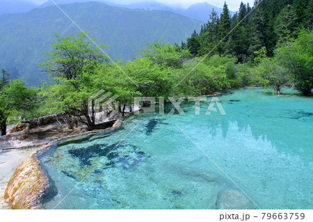 中国四川省アバ・チベット族チャン族自治州松潘県 世界自然遺産黄龍風景区石灰棚の鮮やかな青い水 中国四川省アバ・チベット族チャン族自治州松潘県 世界自然遺産黄龍風景区石灰棚の鮮やかな青い水 79663759