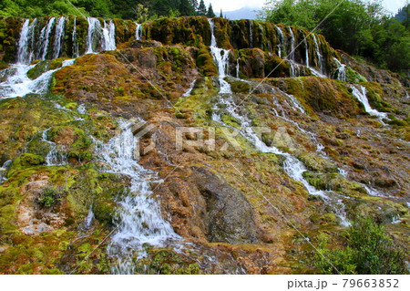 中国四川省アバ・チベット族チャン族自治州松潘県 世界自然遺産黄龍風景区の滝と水の流れ 中国四川省アバ・チベット族チャン族自治州松潘県 世界自然遺産黄龍風景区の滝と水の流れ 79663852