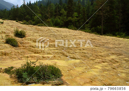 中国四川省アバ・チベット族チャン族自治州松潘県 世界自然遺産黄龍風景区の斜面を流れる水の流れ 中国四川省アバ・チベット族チャン族自治州松潘県 世界自然遺産黄龍風景区の斜面を流れる水の流れ 79663856