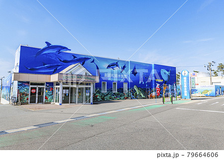 福井県坂井市 快晴の越前松島水族館 福井県坂井市 快晴の越前松島水族館 79664606