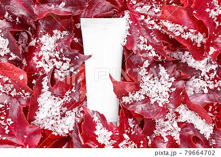 Beauty spa medical skincare, lotion bottle packaging product on snowy red grape leaves background. Mock up cosmetic tube. Moisturizer, shampoo, hand cream, toothpaste. . Beauty spa medical skincare, lotion bottle packaging product on snowy red grape leaves background. Mock up cosmetic tube. Moisturizer, shampoo, hand cream, toothpaste. . 79664702