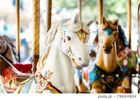 Vintage french carousel horse closeup in fair park. Merry-go-round horses in amusement fun park for children.  79664804