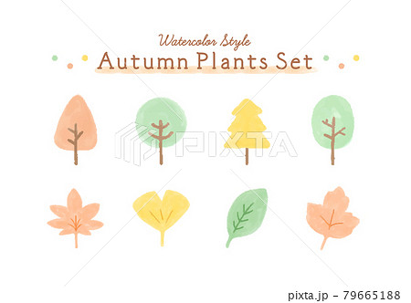 秋の木や葉の水彩風イラストセット 紅葉 モミジ 植物 イチョウ 樹木 質感のイラスト素材