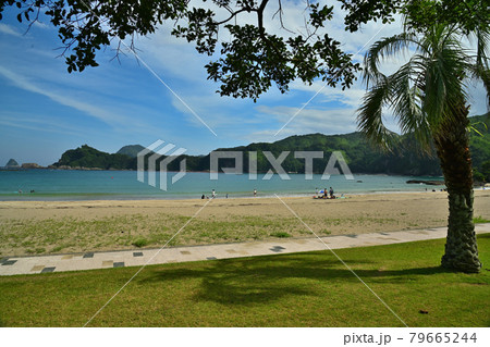 須美江海岸 79665244