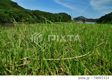 須美江海岸 須美江海岸 79665314