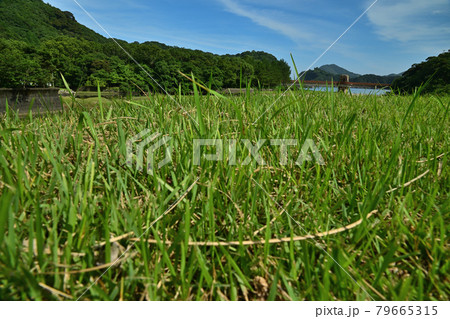 須美江海岸 須美江海岸 79665315