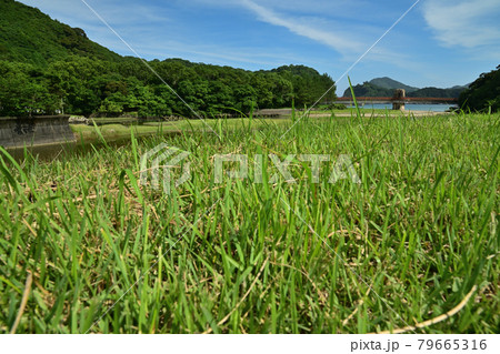 須美江海岸 須美江海岸 79665316