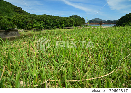 須美江海岸 須美江海岸 79665317