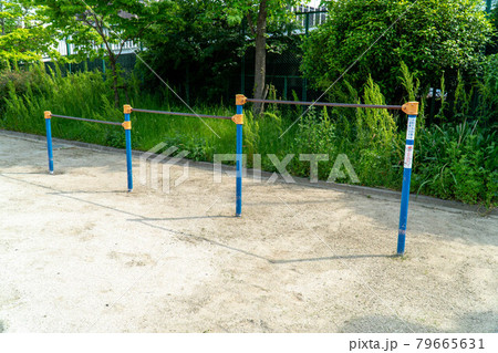 公園の鉄棒 79665631