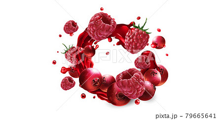 Cranberries and raspberries in a splash of red fruit juice. 79665641