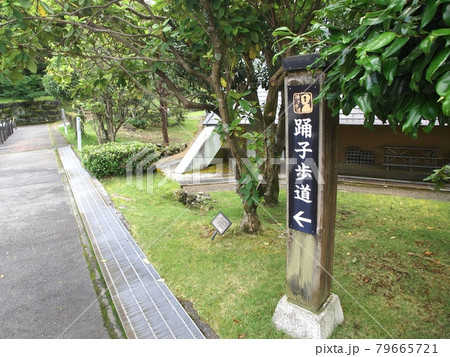 <静岡県>伊豆 踊子歩道の案内板 <静岡県>伊豆 踊子歩道の案内板 79665721