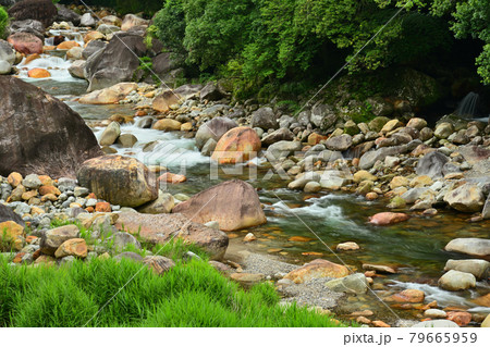 祝子川渓谷 79665959