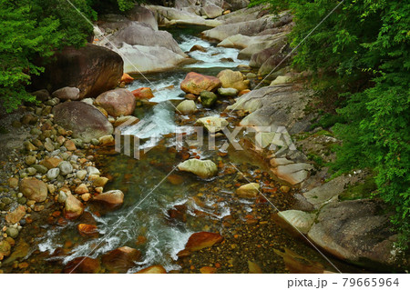 祝子川渓谷 79665964