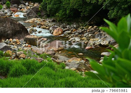 祝子川渓谷 79665981