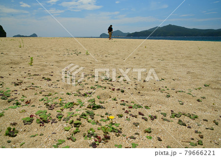 下阿蘇海岸 79666221