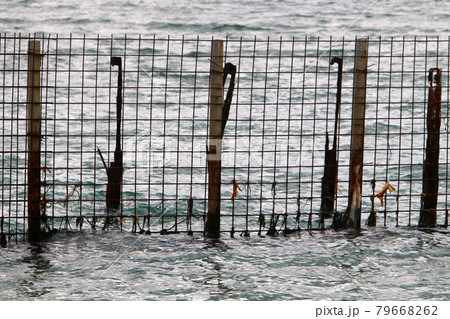 metal fence made of barbed wire in a city park in northern Israel 79668262
