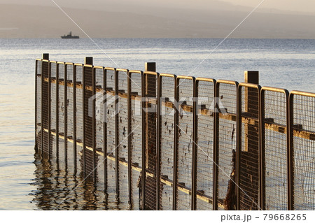metal fence made of barbed wire in a city park in northern Israel 79668265