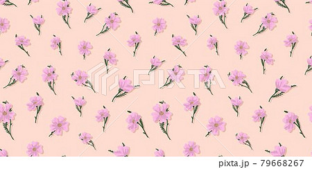 summer designs. lilac wildflowers. Summer seamless pattern for fabric and textile design. Digital paper with pink flowers. Vintage pattern, great design for any purpose. Elegant abstract background. 79668267