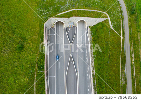 Top view on the tunnel entrance of highway covered with green grass Top view on the tunnel entrance of highway covered with green grass 79668565