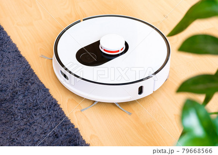 Top view of wireless robot vacuum cleaner cleaning the floor near the carpet and plant Top view of wireless robot vacuum cleaner cleaning the floor near the carpet and plant 79668566