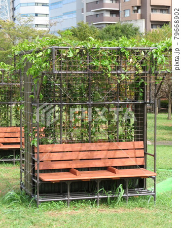 ベンチ ベンチ 79668902