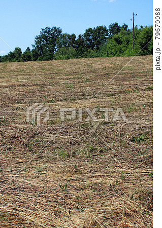 Mown fields in July at the surroundings of Zagreb, Croatia Mown fields in July at the surroundings of Zagreb, Croatia 79670088