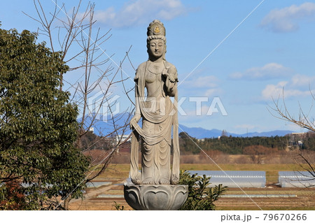 布施観音像 布施観音像 79670266