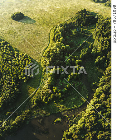 Overhead view of green trees and field. Aerial photography. Shot from drone. Overhead view of green trees and field. Aerial photography. Shot from drone. 79671099