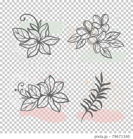 ABSTRACT LINE FLOWERS Floral Sketch With Hydrangea Jasmine Sakura Flowers And Branch On White Background Botanic Cartoon Clip Art Vector Illustration Set ABSTRACT LINE FLOWERS Floral Sketch With Hydrangea Jasmine Sakura Flowers And Branch On White Background Botanic Cartoon Clip Art Vector Illustration Set 79671380