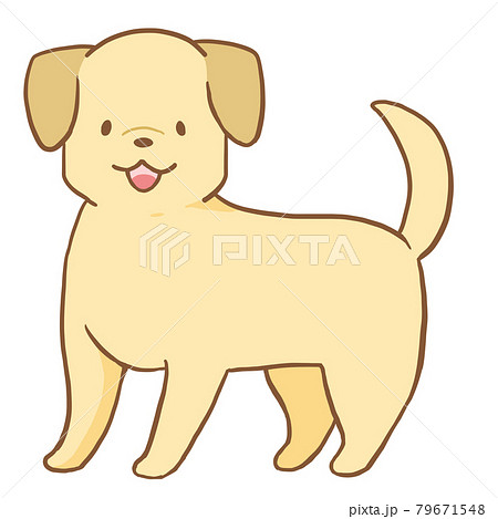 ラブラドール レトリバーのイラスト素材