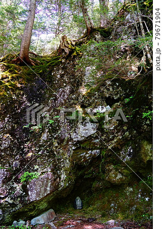 八ヶ岳 南沢コース 赤嶽神社 八ヶ岳 南沢コース 赤嶽神社 79671904