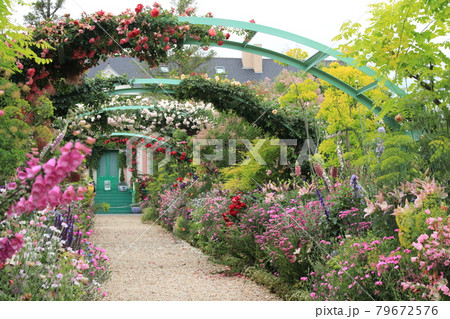 浜名湖ガーデンパークにあるモネの庭園 79672576