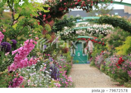 浜名湖ガーデンパークにあるモネの庭園 浜名湖ガーデンパークにあるモネの庭園 79672578